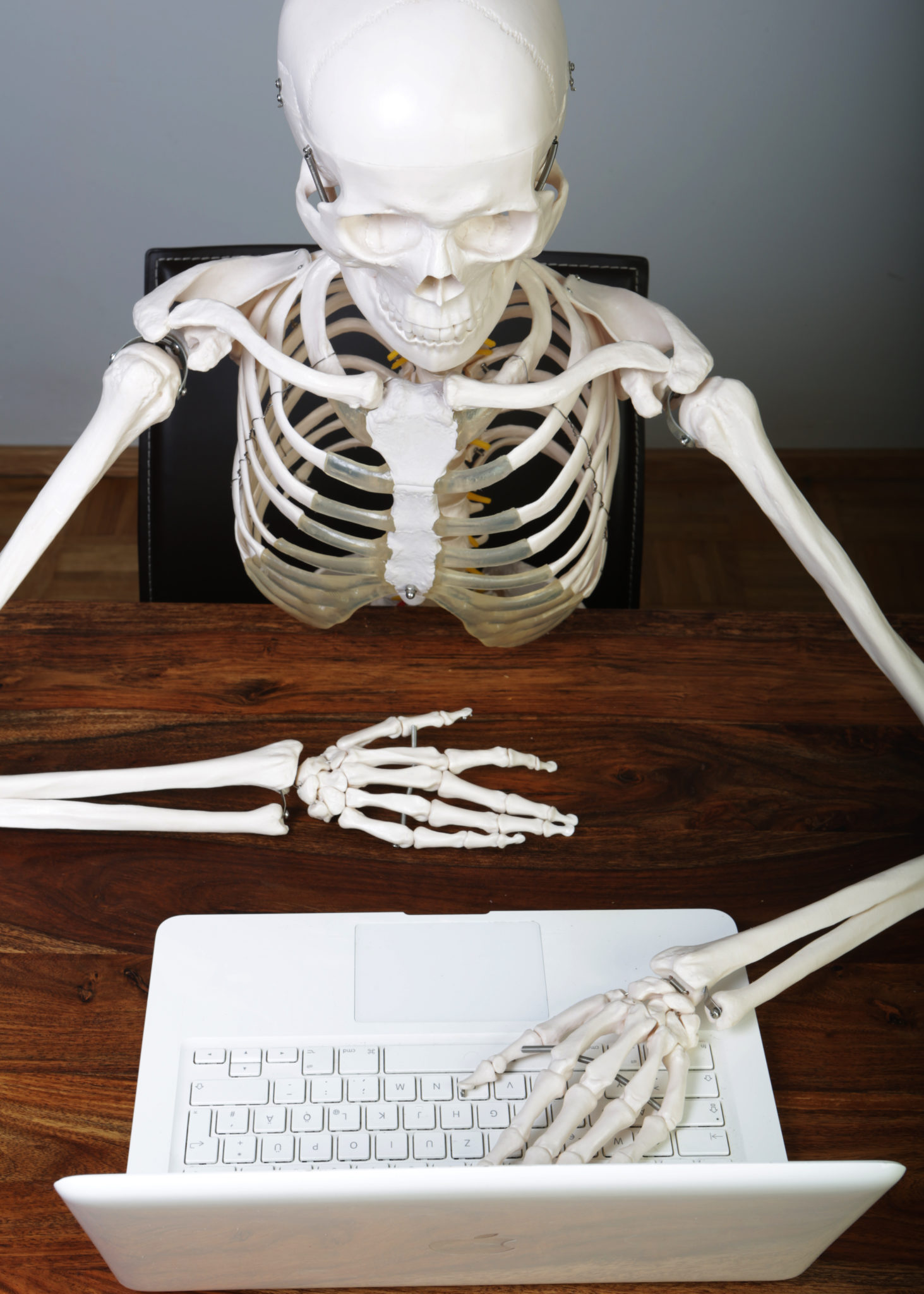 skeleton sitting at desk with laptop
