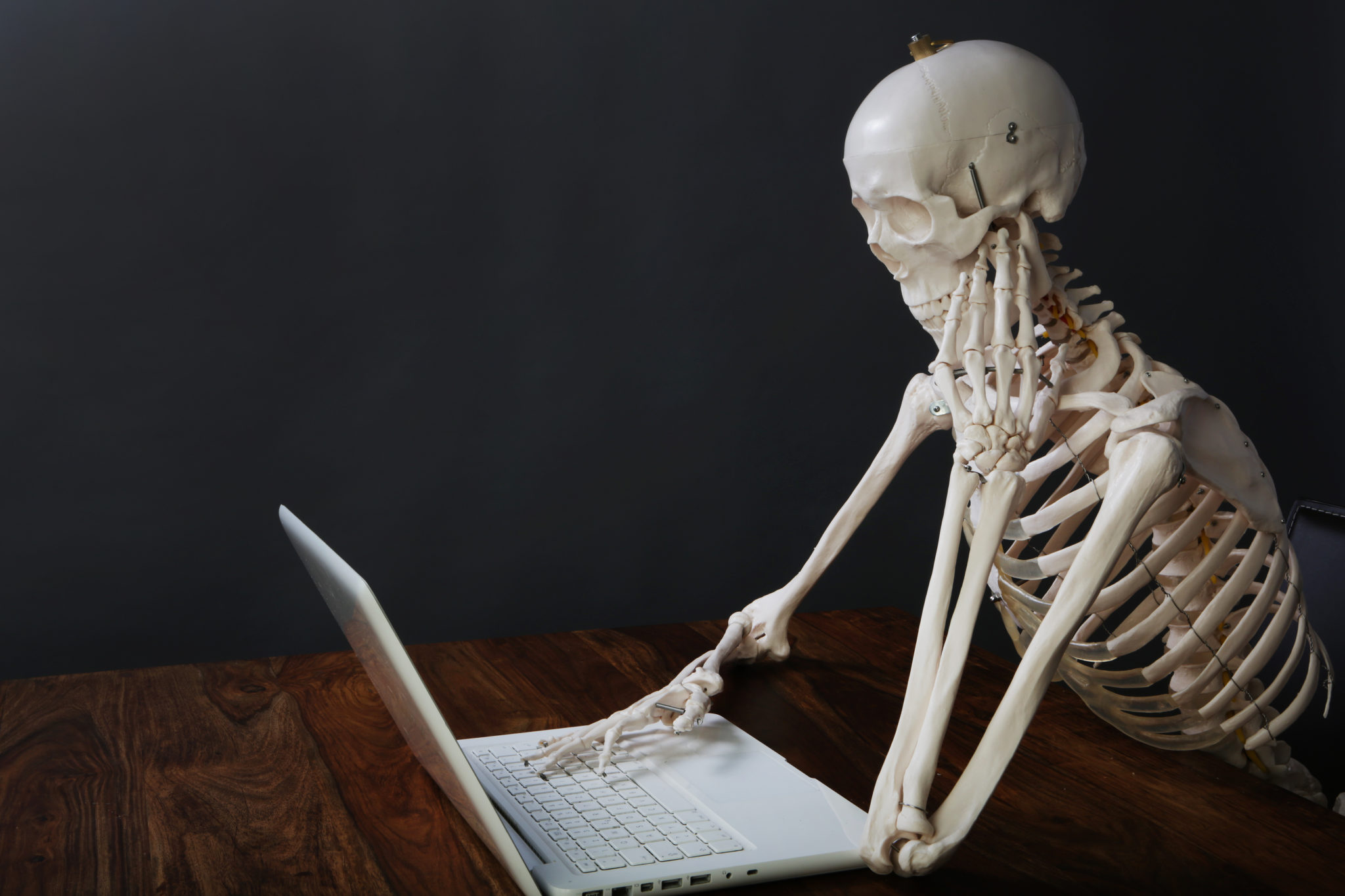 skeleton at computer
